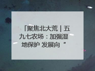 聚焦北大荒｜五九七农场：加强湿地保护 发展向“绿”而行