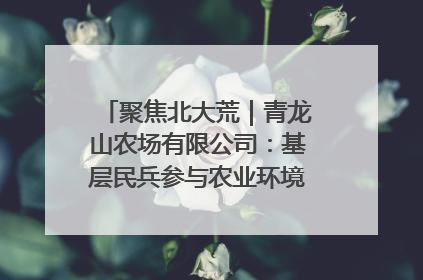 聚焦北大荒｜青龙山农场有限公司：基层民兵参与农业环境综合治理显效