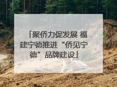 聚侨力促发展 福建宁德推进“侨见宁德”品牌建设