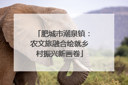 肥城市潮泉镇：农文旅融合绘就乡村振兴新画卷