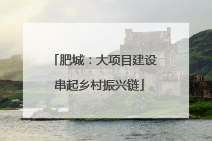 肥城：大项目建设串起乡村振兴链