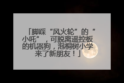 脚踩“风火轮”的“小吒”，可脱离遥控板的机器狗，泡桐树小学来了新朋友！
