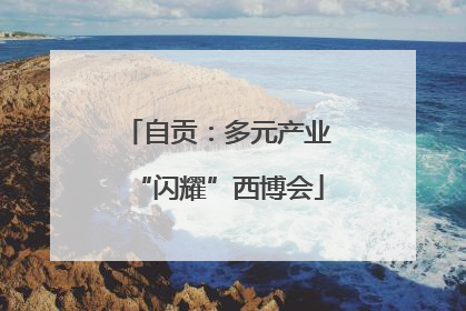 自贡：多元产业“闪耀”西博会