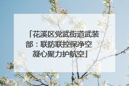 花溪区党武街道武装部：联防联控保净空 凝心聚力护航空