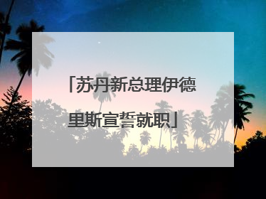 苏丹新总理伊德里斯宣誓就职