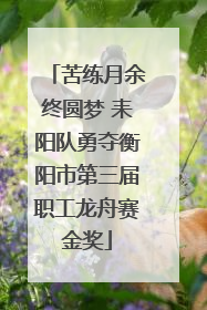 苦练月余终圆梦 耒阳队勇夺衡阳市第三届职工龙舟赛金奖