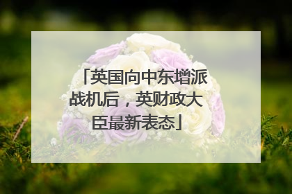 英国向中东增派战机后，英财政大臣最新表态