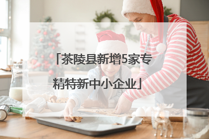 茶陵县新增5家专精特新中小企业