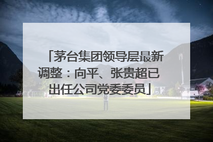 茅台集团领导层最新调整：向平、张贵超已出任公司党委委员