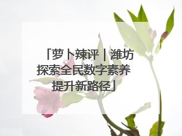 萝卜辣评｜潍坊探索全民数字素养提升新路径