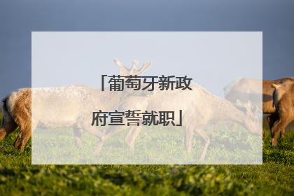 葡萄牙新政府宣誓就职