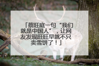 蔡旺庭一句“我们就是中国人”，让网友发现旺旺早就不只卖雪饼了！