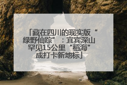 藏在四川的现实版“绿野仙踪”：宜宾深山罕见15公里“稻海”成打卡新地标