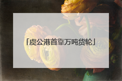 虞公港首靠万吨货轮