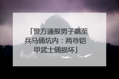 警方通报男子跳至兵马俑坑内：两尊铠甲武士俑损坏