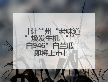 让兰州“老味道”焕发生机 “兰白946”白兰瓜即将上市