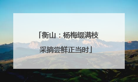衡山：杨梅缀满枝 采摘尝鲜正当时