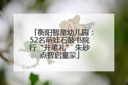 衡阳智星幼儿园：52名萌娃石鼓书院行“开笔礼” 朱砂点智启童蒙