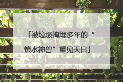 被垃圾掩埋多年的“镇水神兽”重见天日