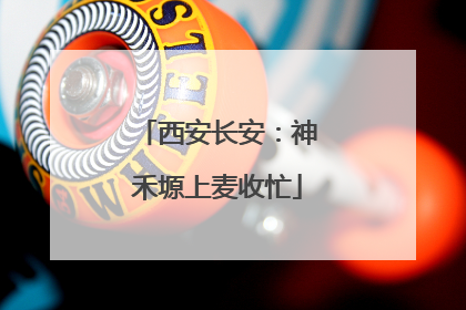 西安长安：神禾塬上麦收忙