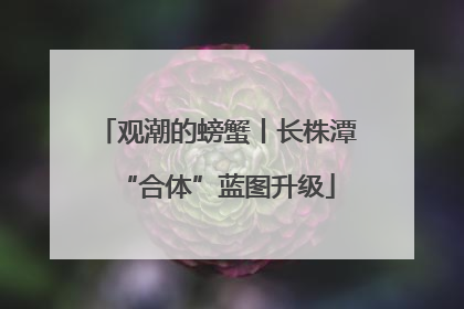 观潮的螃蟹丨长株潭“合体”蓝图升级