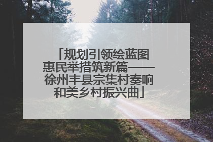 规划引领绘蓝图 惠民举措筑新篇——徐州丰县宗集村奏响和美乡村振兴曲