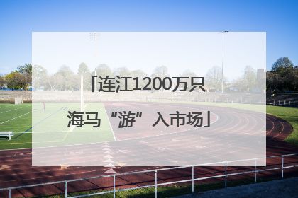 连江1200万只海马“游”入市场