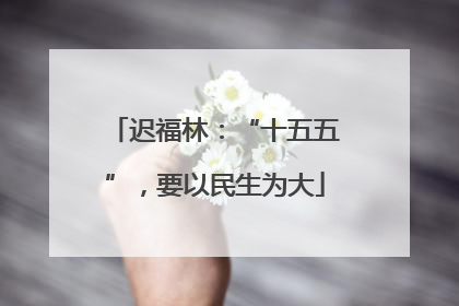 迟福林：“十五五”，要以民生为大