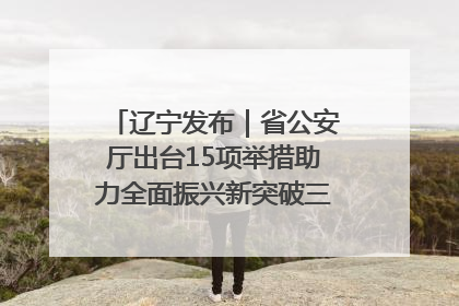 辽宁发布｜省公安厅出台15项举措助力全面振兴新突破三年行动决胜之战