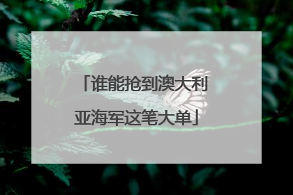 谁能抢到澳大利亚海军这笔大单
