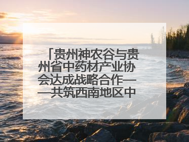 贵州神农谷与贵州省中药材产业协会达成战略合作——共筑西南地区中医药产业新生态