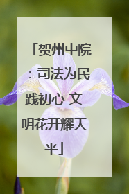 贺州中院：司法为民践初心 文明花开耀天平
