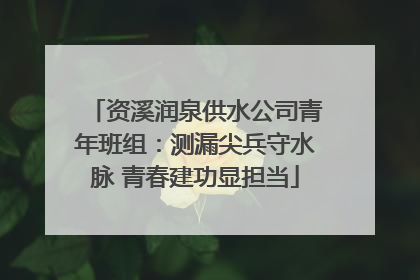 资溪润泉供水公司青年班组：测漏尖兵守水脉 青春建功显担当