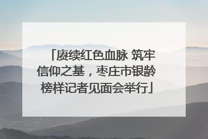 赓续红色血脉 筑牢信仰之基，枣庄市银龄榜样记者见面会举行