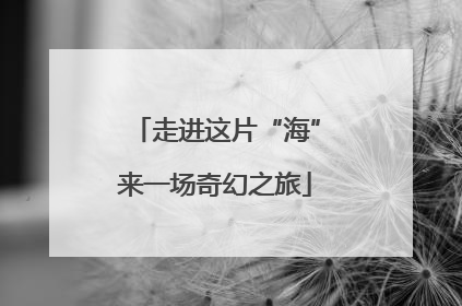走进这片“海”来一场奇幻之旅