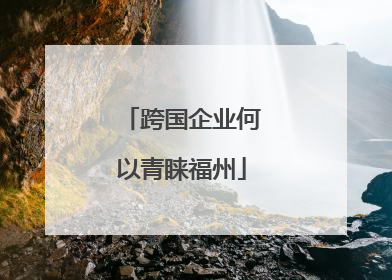 跨国企业何以青睐福州