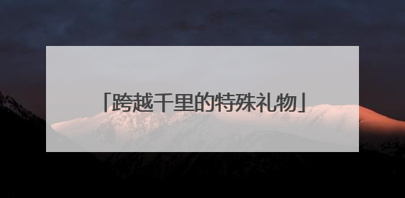 跨越千里的特殊礼物