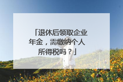 退休后领取企业年金，需缴纳个人所得税吗？