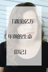 遇见亿万年前的生命印记