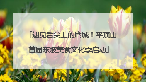 遇见舌尖上的鹰城！平顶山首届东坡美食文化季启动