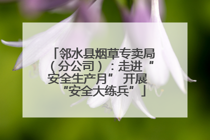 邻水县烟草专卖局（分公司）：走进“安全生产月” 开展“安全大练兵”
