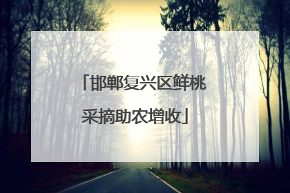 邯郸复兴区鲜桃采摘助农增收