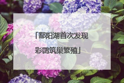 鄱阳湖首次发现彩鹮筑巢繁殖