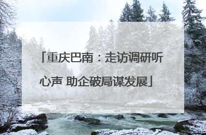 重庆巴南：走访调研听心声 助企破局谋发展