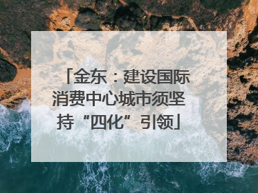金东：建设国际消费中心城市须坚持“四化”引领