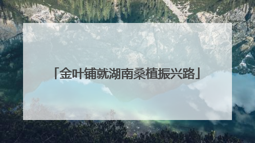 金叶铺就湖南桑植振兴路