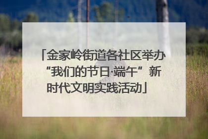金家岭街道各社区举办“我们的节日·端午”新时代文明实践活动