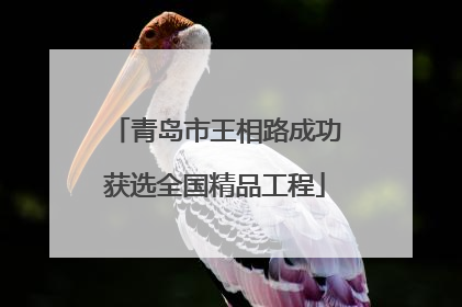 青岛市王相路成功获选全国精品工程