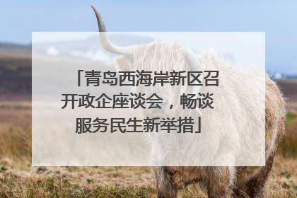 青岛西海岸新区召开政企座谈会，畅谈服务民生新举措