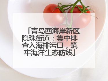 青岛西海岸新区隐珠街道：集中排查入海排污口，筑牢海洋生态防线